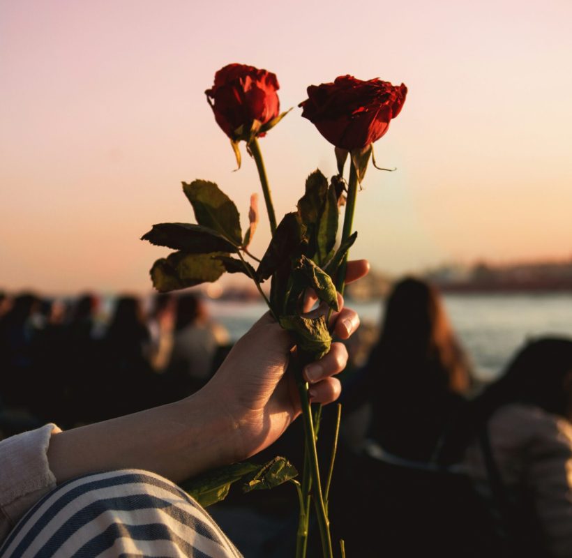 cover photo