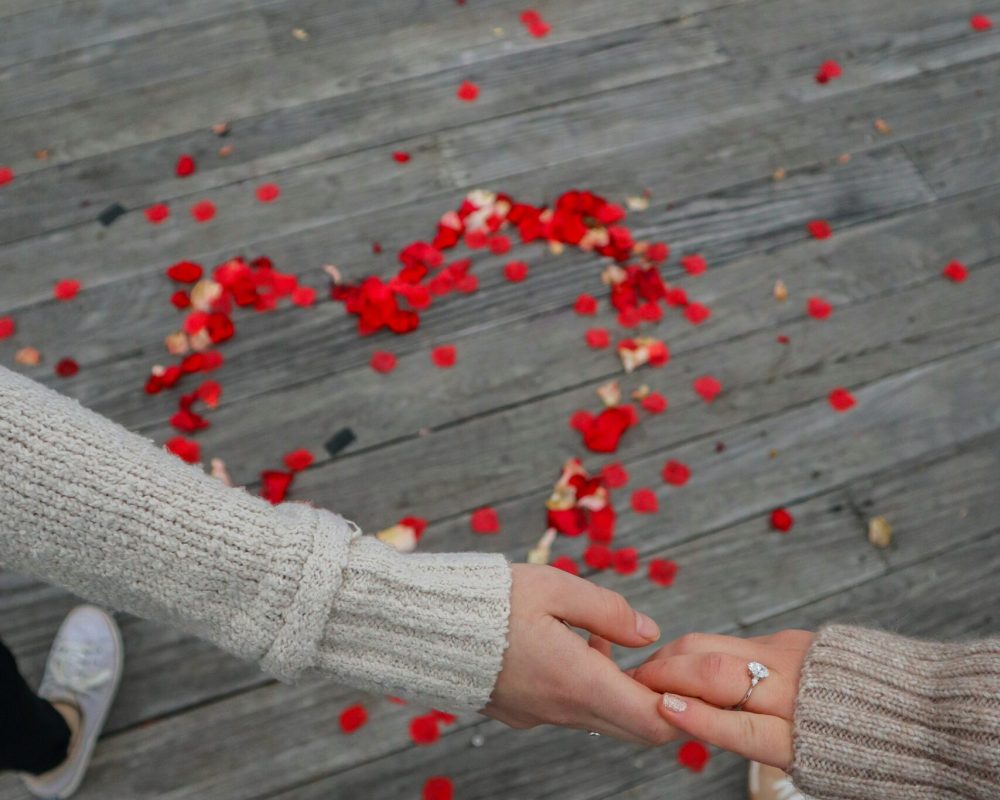 kashmir romantic odyssey cover photo
