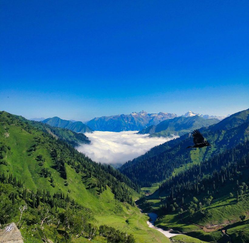 kashmir unveiled cover photo